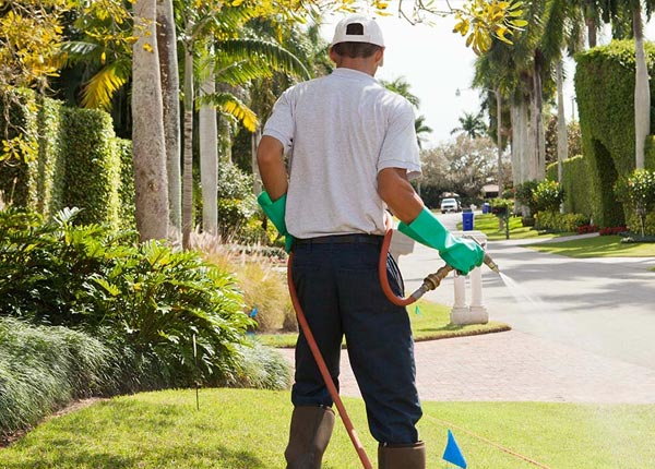 About Bayview ID Pest Control Pros